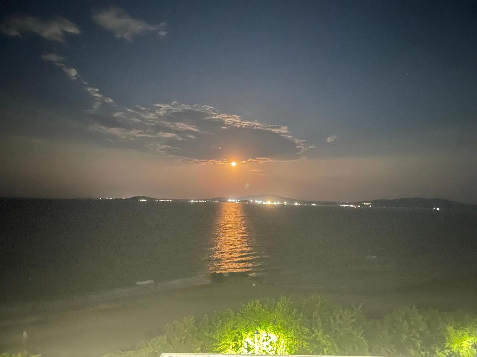 Studio Festival 帕莫瑞 外观 照片